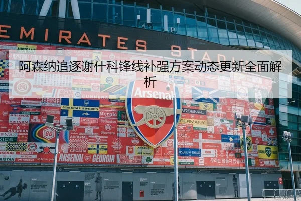 阿森纳追逐谢什科锋线补强方案动态更新全面解析